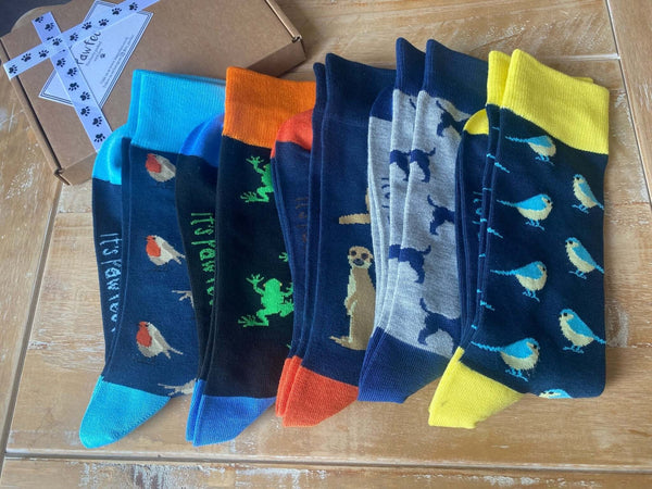The Joy of New Socks: Unveiling the Benefits of Fresh Footwear - It's Pawfect