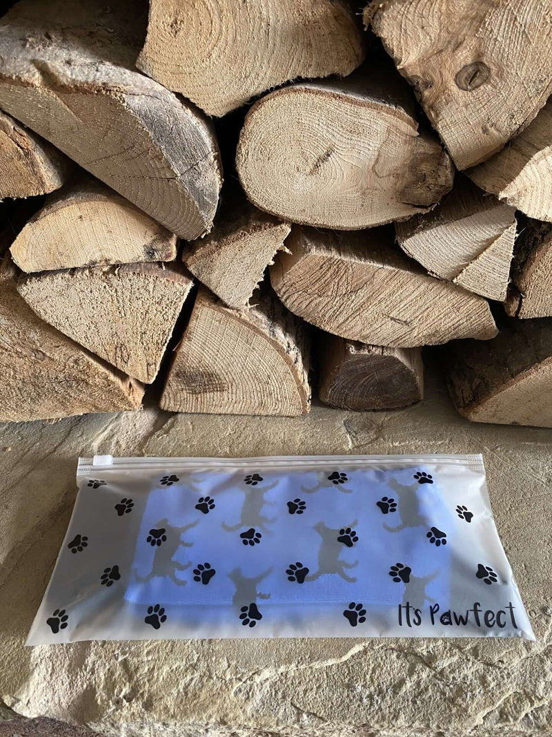 Men's Black Cat Socks - Blue