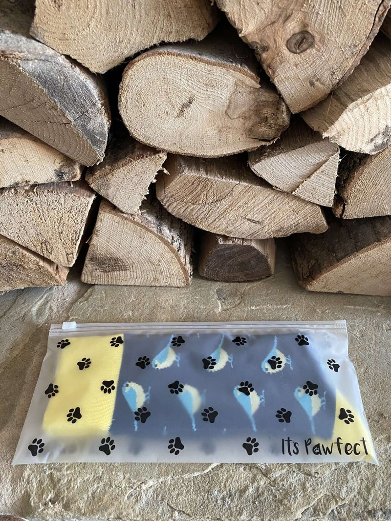 Men's Blue Tit Bird Socks
