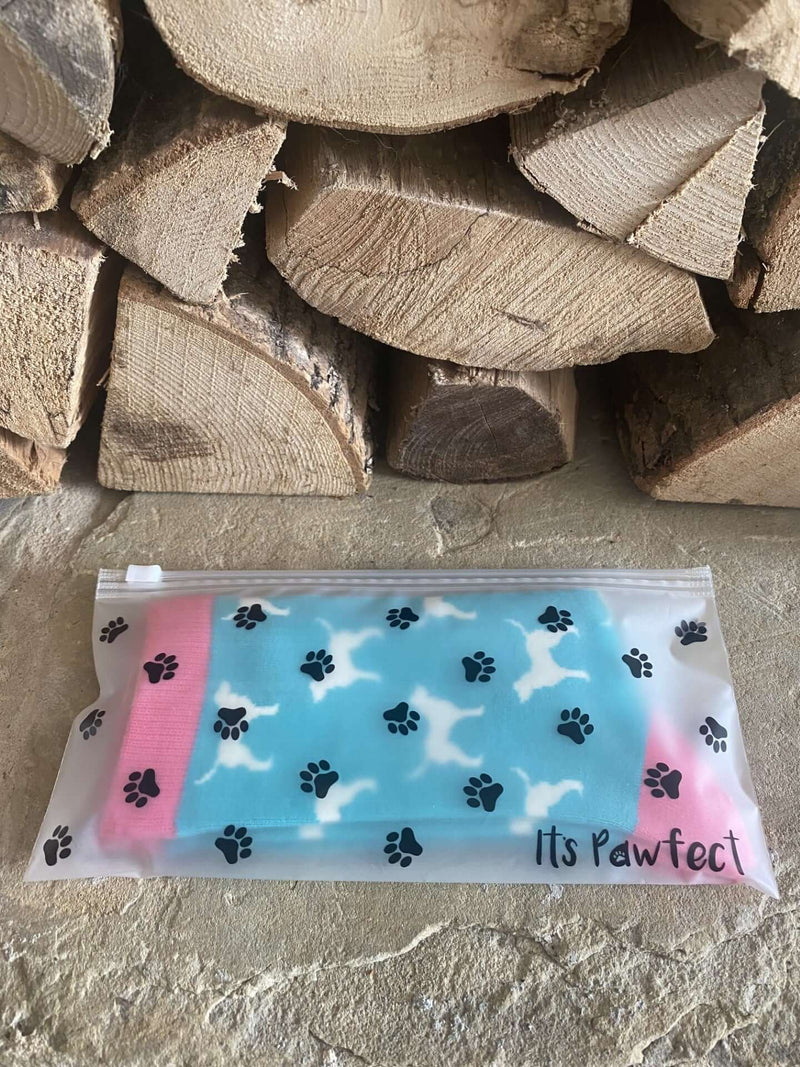 Women's Labrador Socks - Mint