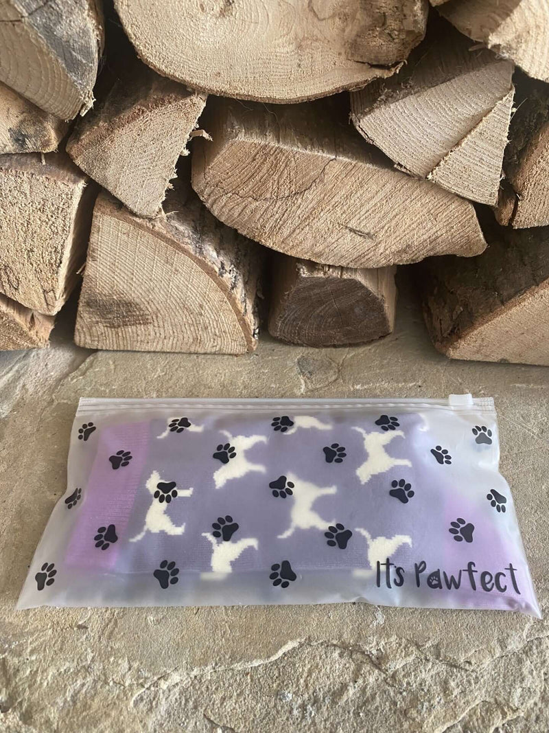 Women's Labrador Socks - Purple