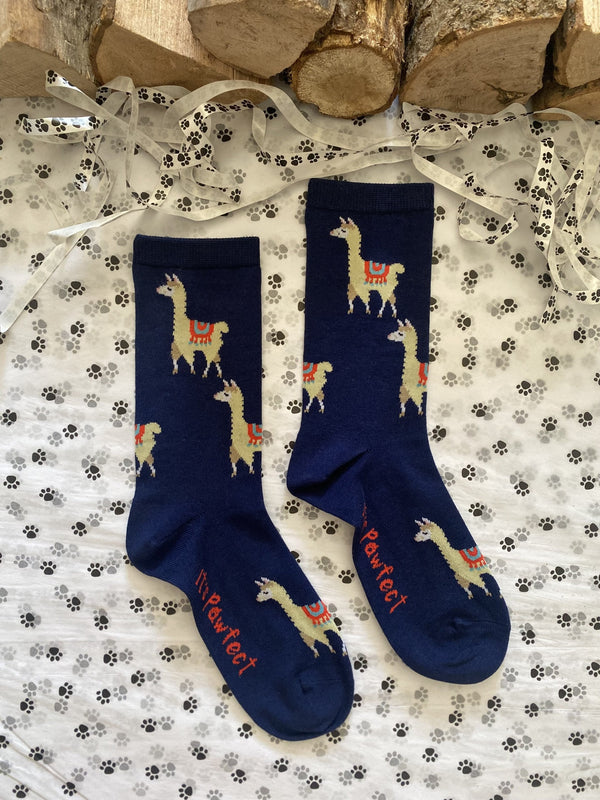 Women's Llama Socks - Navy