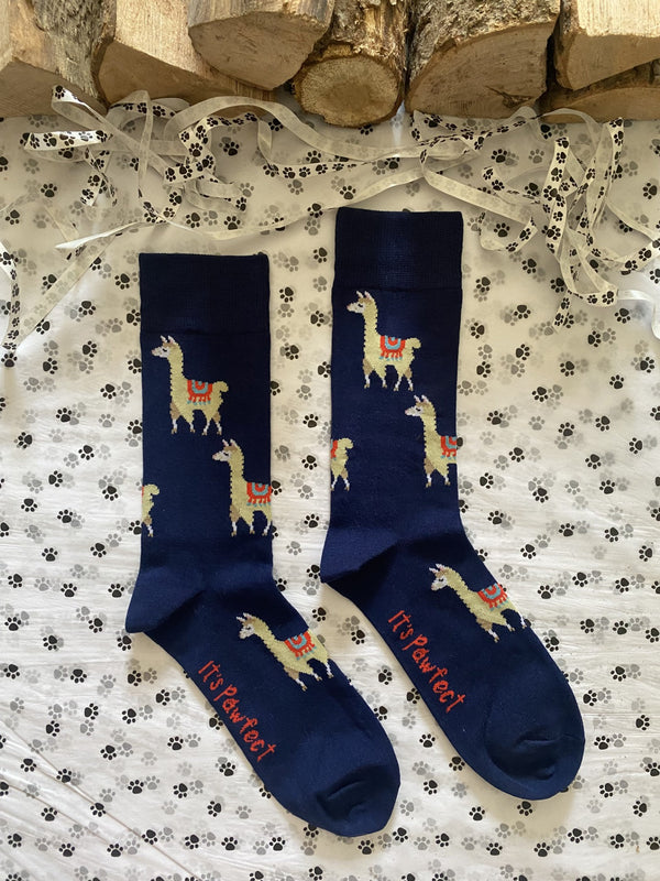 Men's Llama Socks - Navy