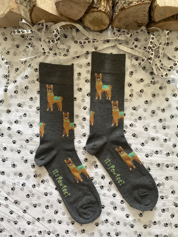 Men's Alpaca Socks - Grey