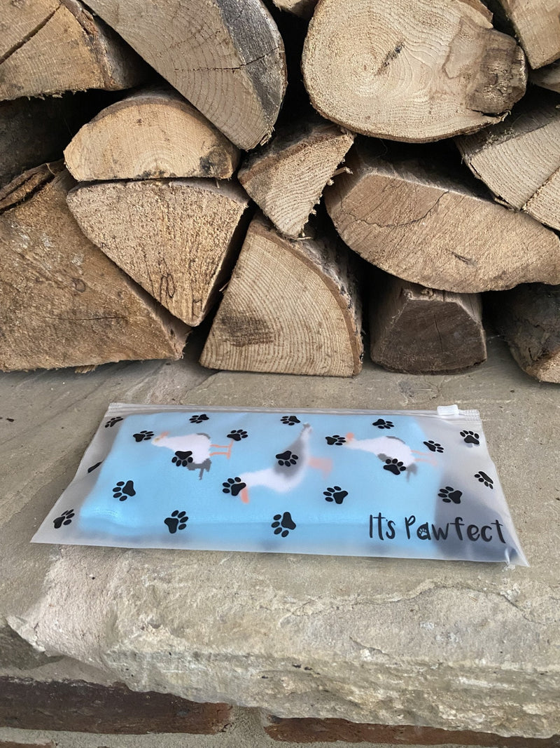 Women's Seagull Socks - Blue