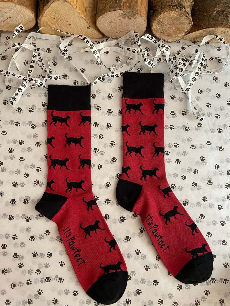 Men's Black Cat Socks - Burgundy - It's Pawfect
