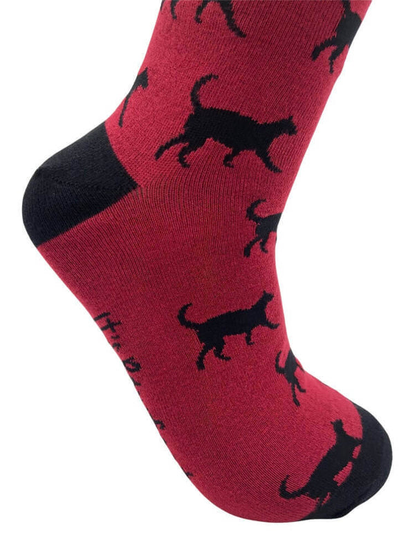Men's Black Cat Socks - Burgundy - It's Pawfect