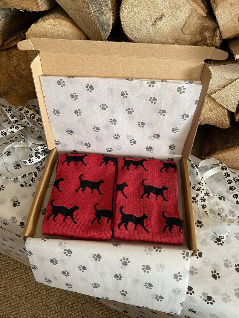 Men's Black Cat Socks - Burgundy - It's Pawfect