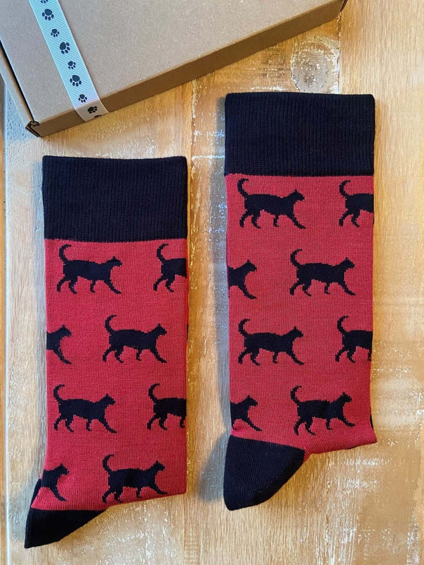 Men's Black Cat Socks - Burgundy - It's Pawfect