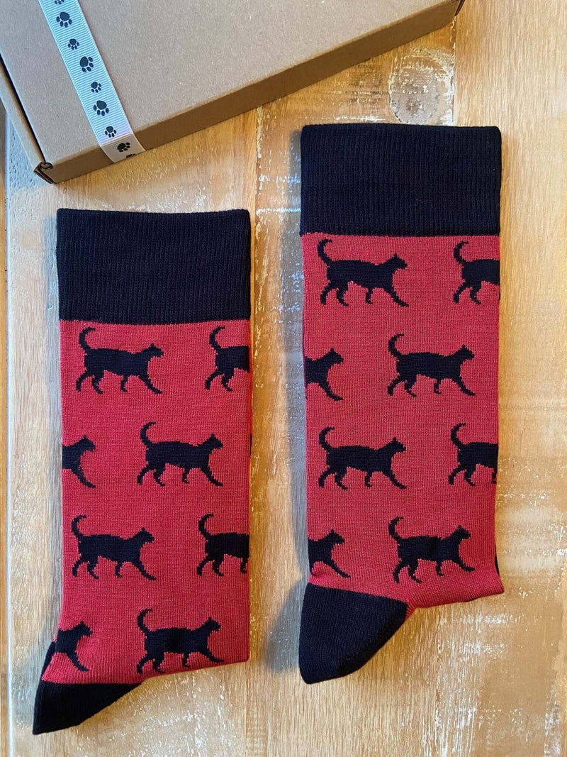 Men's Black Cat Socks - Burgundy - It's Pawfect