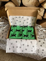 Men's Black Cat Socks - Green - It's Pawfect