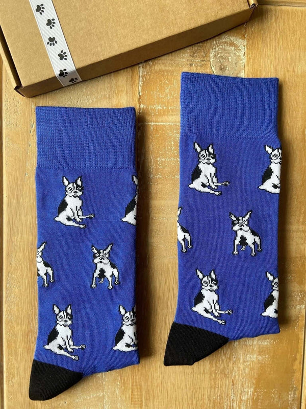 Men's French Bulldog Socks - Blue - It's Pawfect