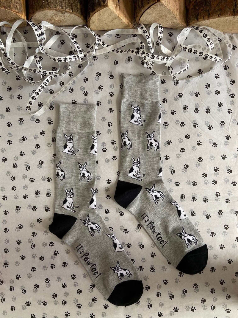 Men's French Bulldog Socks - Grey - It's Pawfect