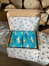 Men's Jack Russell Socks - Blue - It's Pawfect