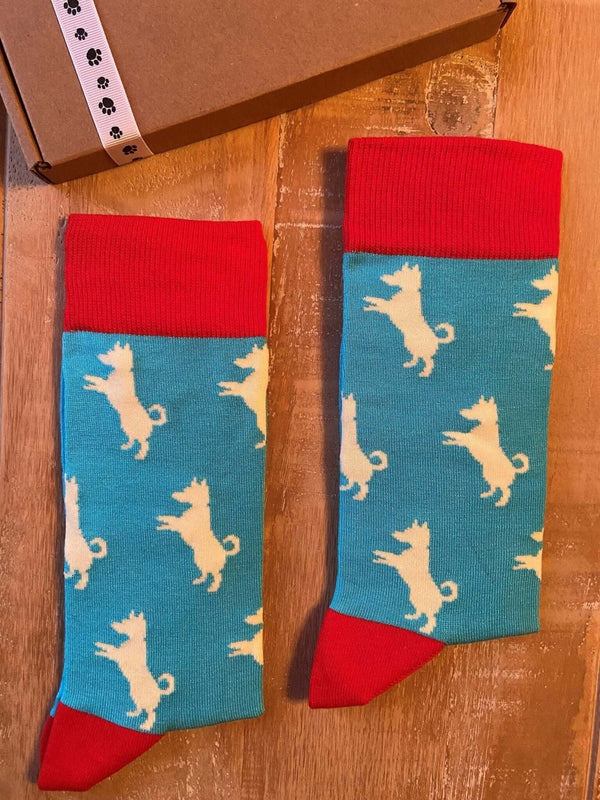Men's Jack Russell Socks - Blue - It's Pawfect