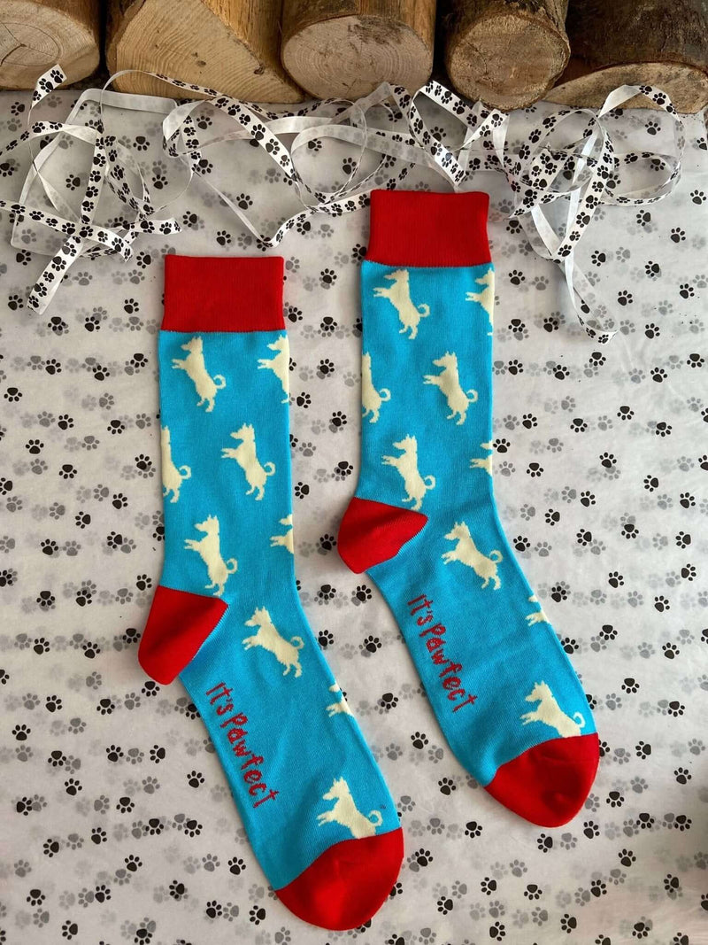 Men's Jack Russell Socks - Blue - It's Pawfect
