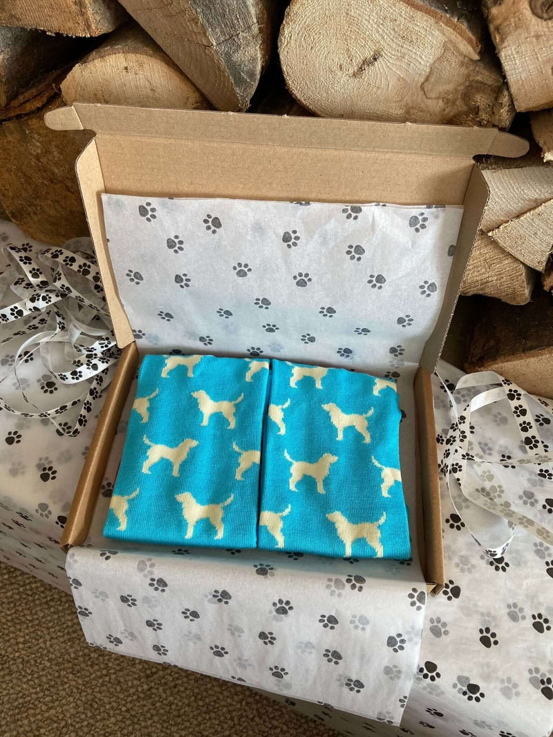 Men's Labrador Socks - Blue - It's Pawfect