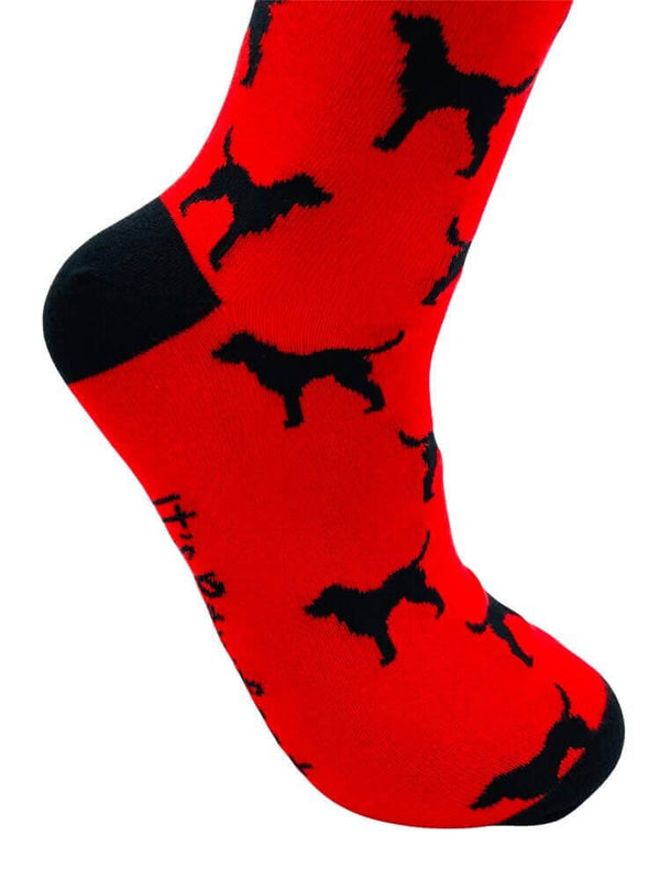 Men's Labrador Socks - Red - It's Pawfect