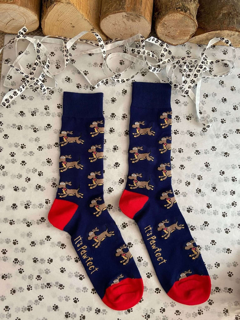 Men's Sausage Dog Socks - Navy - It's Pawfect