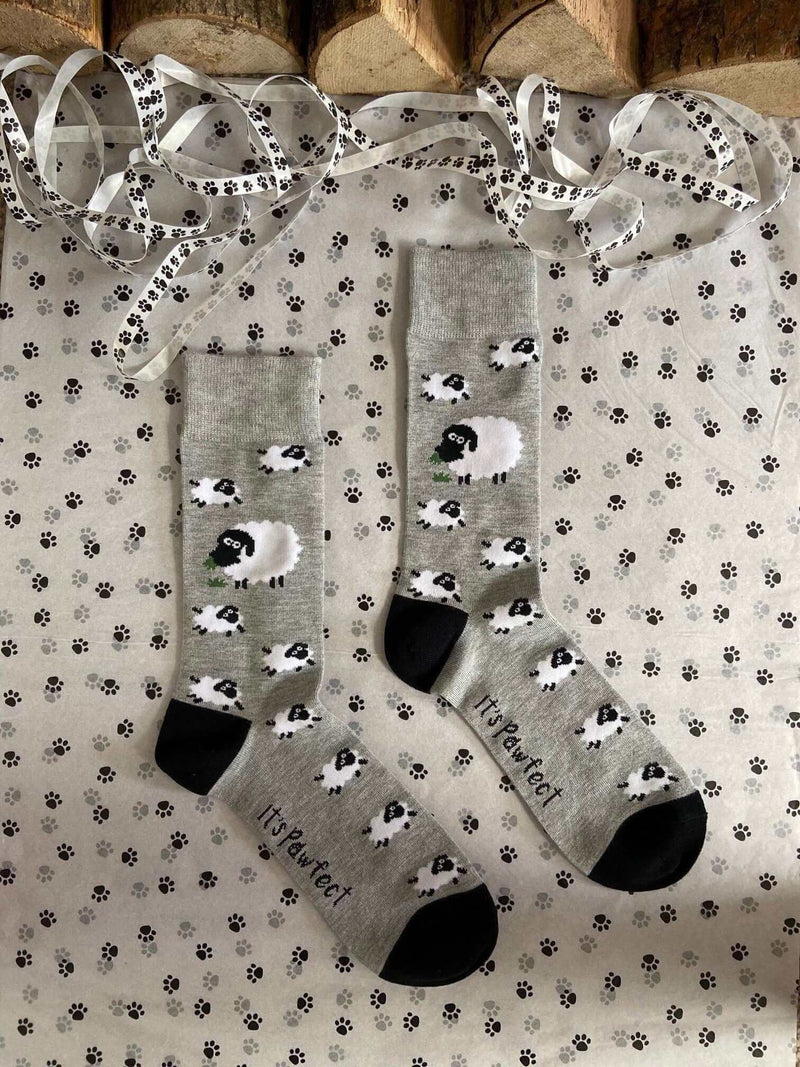 Men's Sheep Socks - It's Pawfect