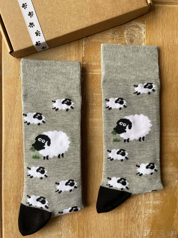 Men's Sheep Socks - It's Pawfect