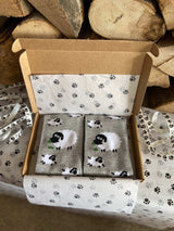 Men's Sheep Socks - It's Pawfect