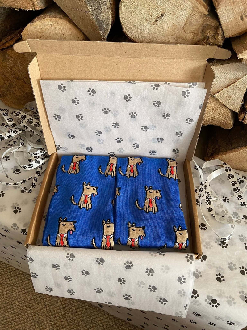 Men's Terrier Socks - Blue - It's Pawfect