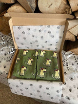 Men's Terrier Socks - Green - It's Pawfect