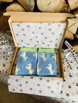 Women's Jack Russell Socks - Blue - It's Pawfect