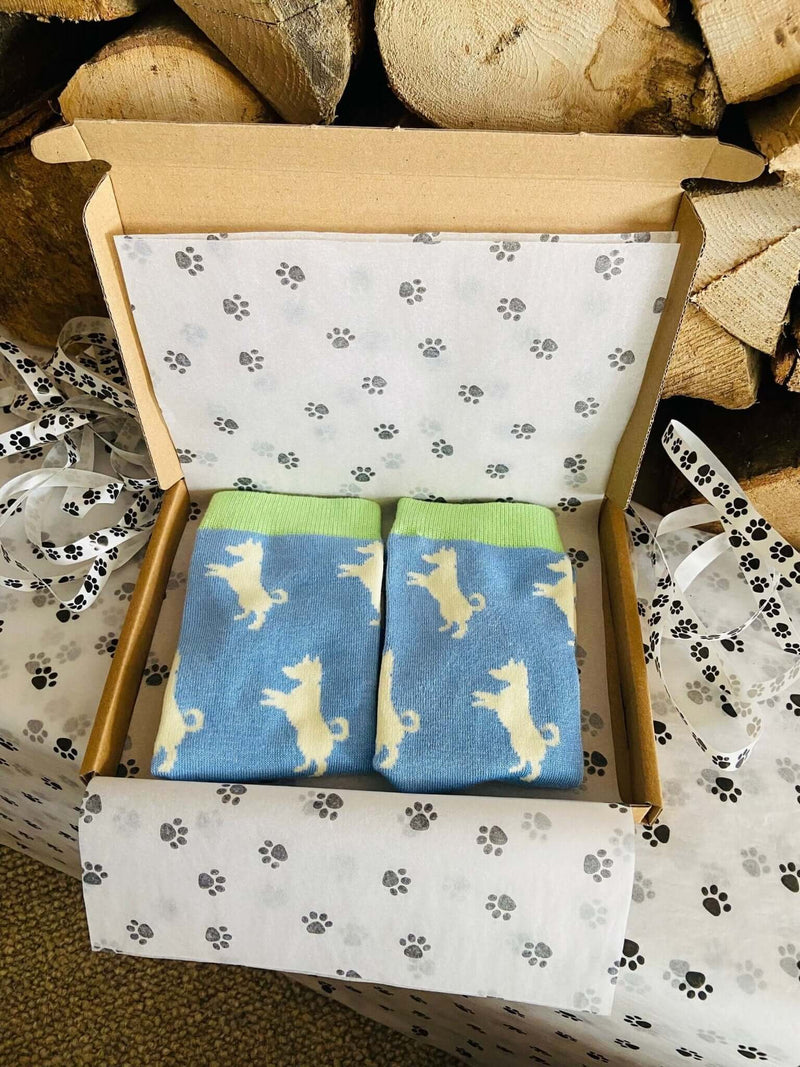 Women's Jack Russell Socks - Blue - It's Pawfect