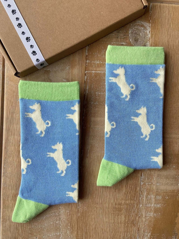 Women's Jack Russell Socks - Blue - It's Pawfect