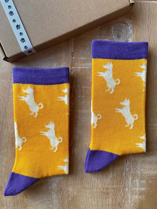 Women's Jack Russell Socks - Yellow - It's Pawfect