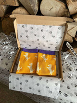 Women's Jack Russell Socks - Yellow - It's Pawfect