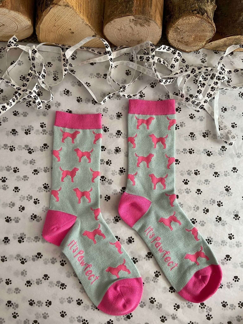 Women's Labrador Socks - Grey & Pink - It's Pawfect
