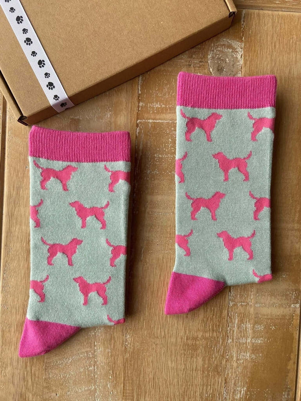 Women's Labrador Socks - Grey & Pink - It's Pawfect