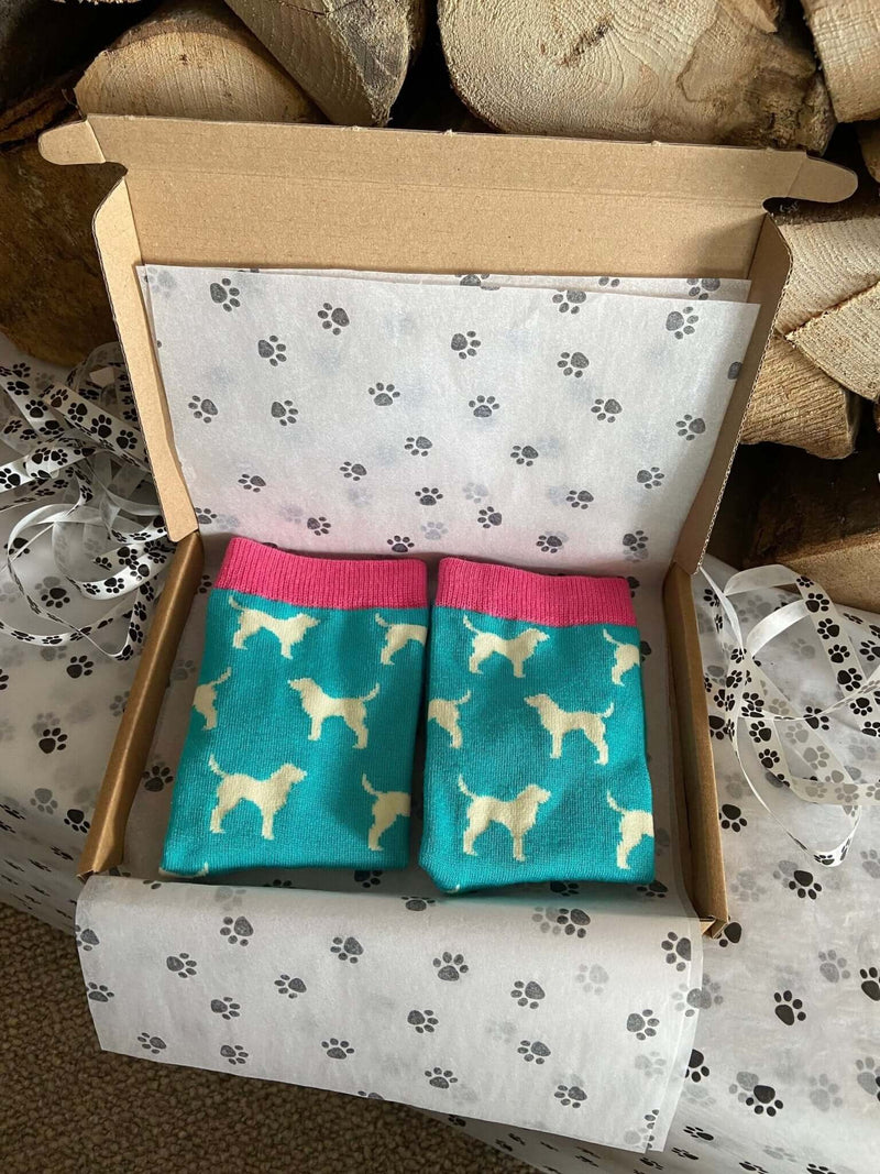Women's Labrador Socks - Mint - It's Pawfect