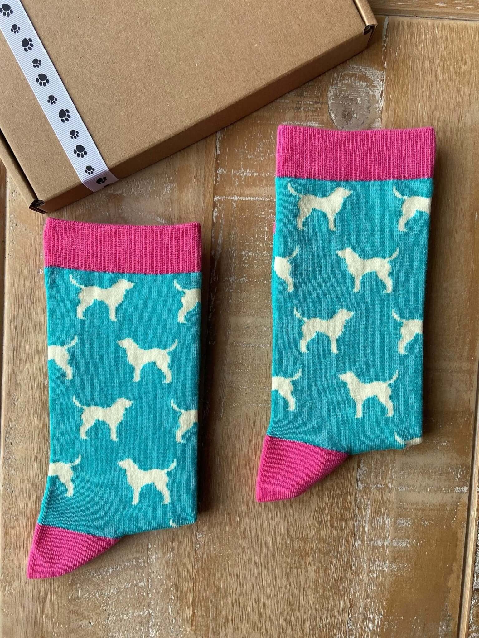 It's Pawfect Women's Labrador Socks - Mint