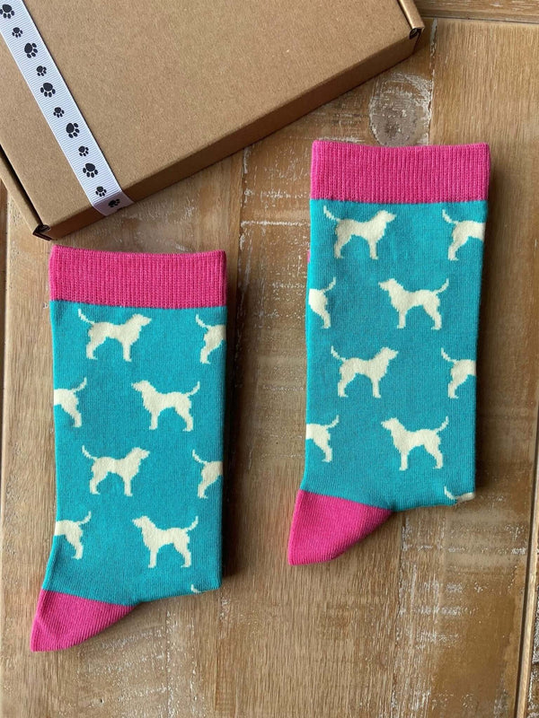 Women's Labrador Socks - Mint - It's Pawfect