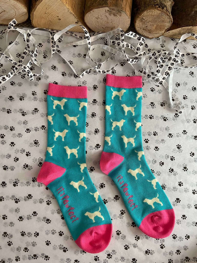 Women's Labrador Socks - Mint - It's Pawfect