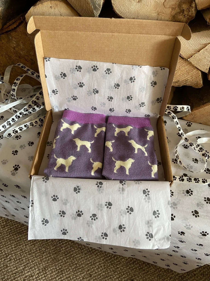 Women's Labrador Socks - Purple - It's Pawfect