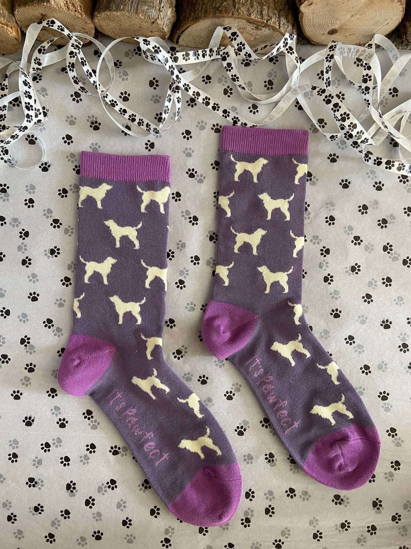 Women's Labrador Socks - Purple - It's Pawfect