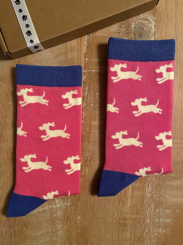 Women's Sausage Dog Socks - Pink - It's Pawfect