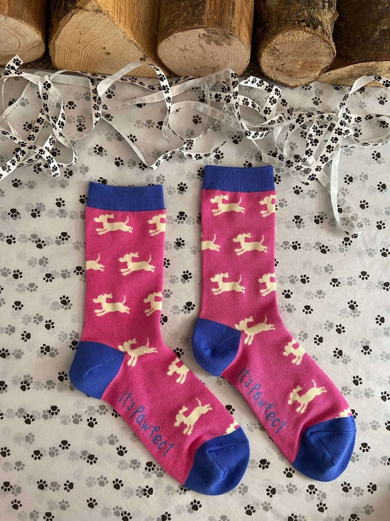 Women's Sausage Dog Socks - Pink - It's Pawfect